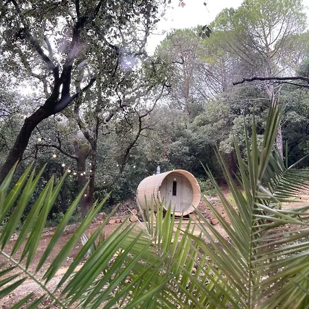 Domaine La Tour - - Jacuzzi - Sauna - Massage - 4 Saisons - Piscine Chauffee Toute L'annee - Heated Pool - 800m Centre ניונס