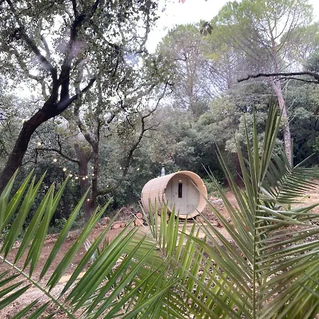 Domaine La Tour - - Jacuzzi - Sauna - Massage - 4 Saisons - Piscine Chauffee Toute L'annee - Heated Pool - 800m Centre *