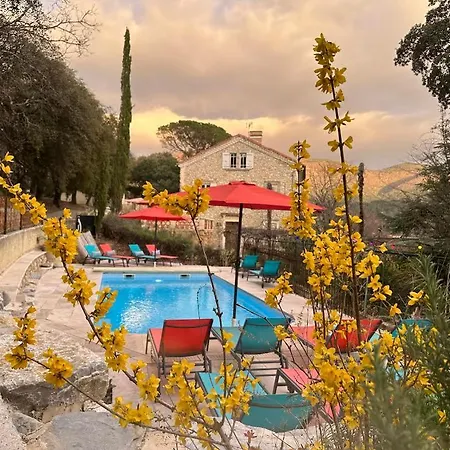 לינה וארוחת בוקר Domaine La Tour - - Jacuzzi - Sauna - Massage - 4 Saisons - Piscine Chauffee Toute L'annee - Heated Pool - 800m Centre