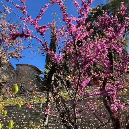 Bed & Breakfast Domaine La Tour: Retreat With Year-round Heated Pool *